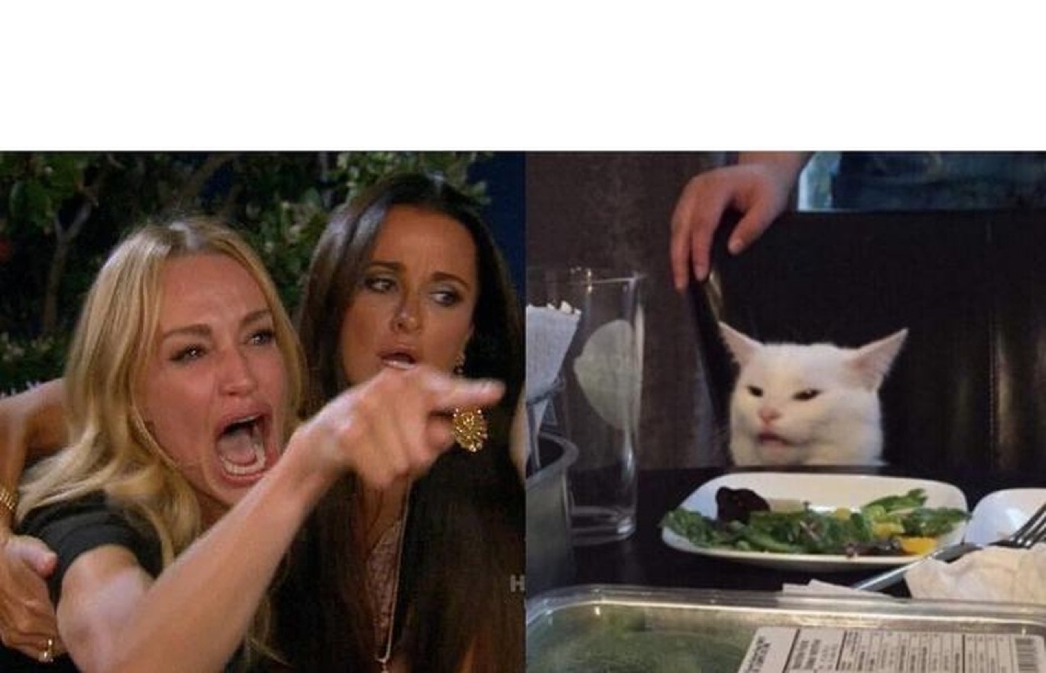 Woman Yelling at a Cat meme: a screaming pointing woman beside an unbothered white cat at a table