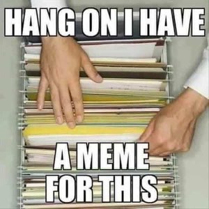 Hands rifling through a packed filing cabinet - 'Hang On I Have A Meme For This'