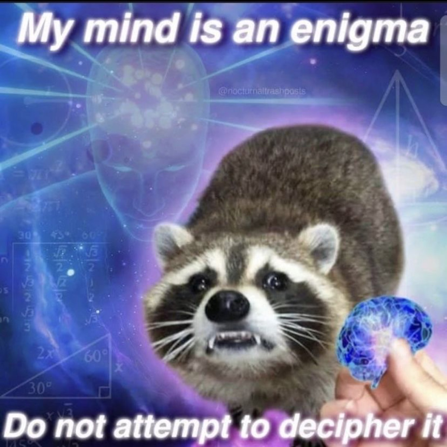 Raccoon snarling in front of a cosmic brain background under 'My mind is an enigma Do not attempt to decipher it'