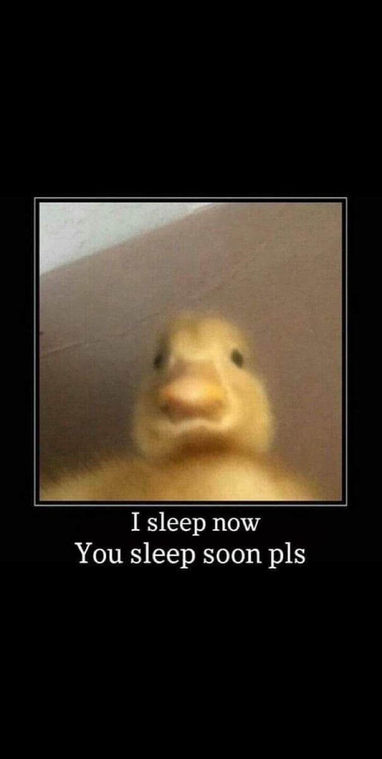 Blurry duckling staring at the camera, captioned 'I sleep now You sleep soon pls'