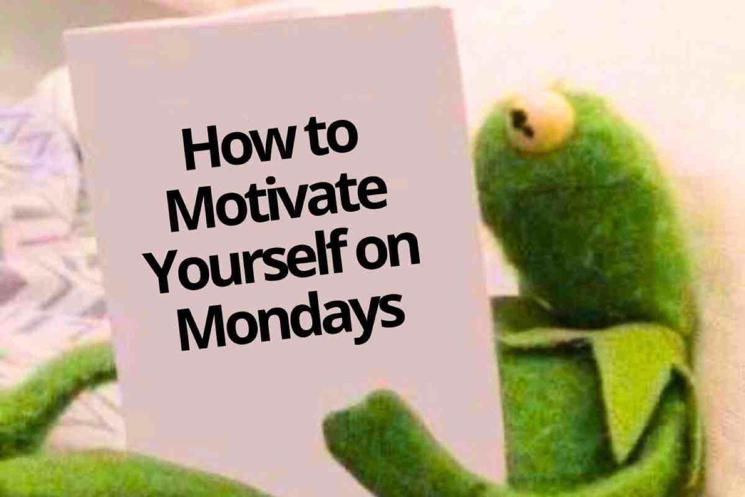 Kermit reading a book titled 'How to Motivate Yourself on Mondays'