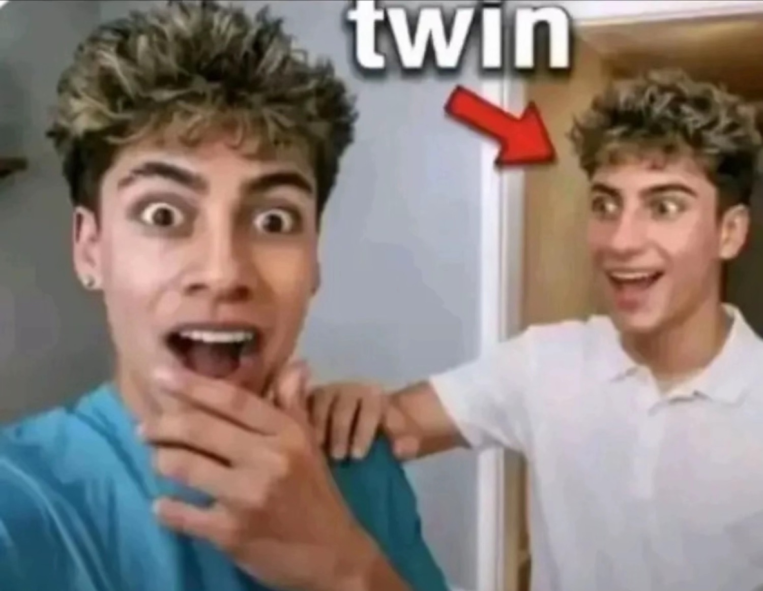 Two identical twins — one shocked, one grinning — with an arrow pointing at the twin