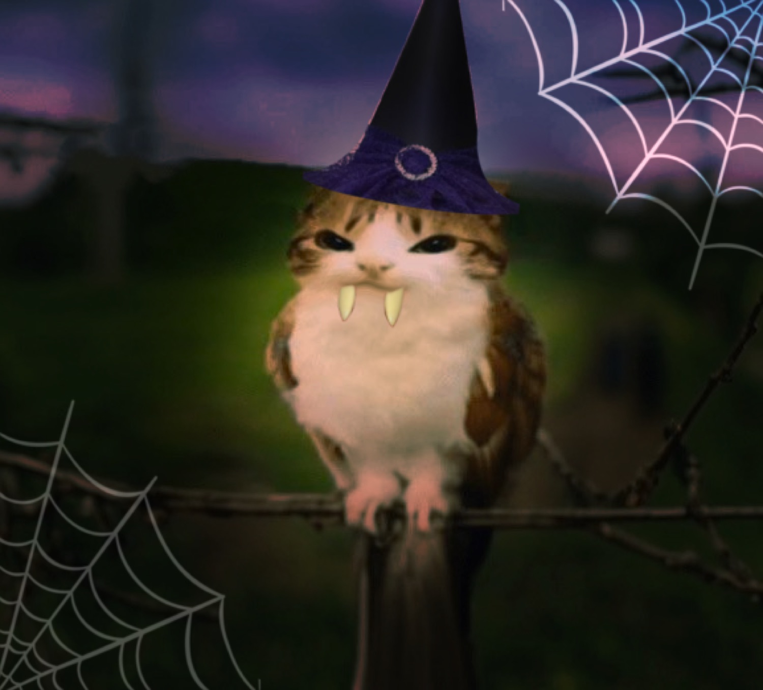 Cat with fangs and a witch hat perched on a branch among spider webs