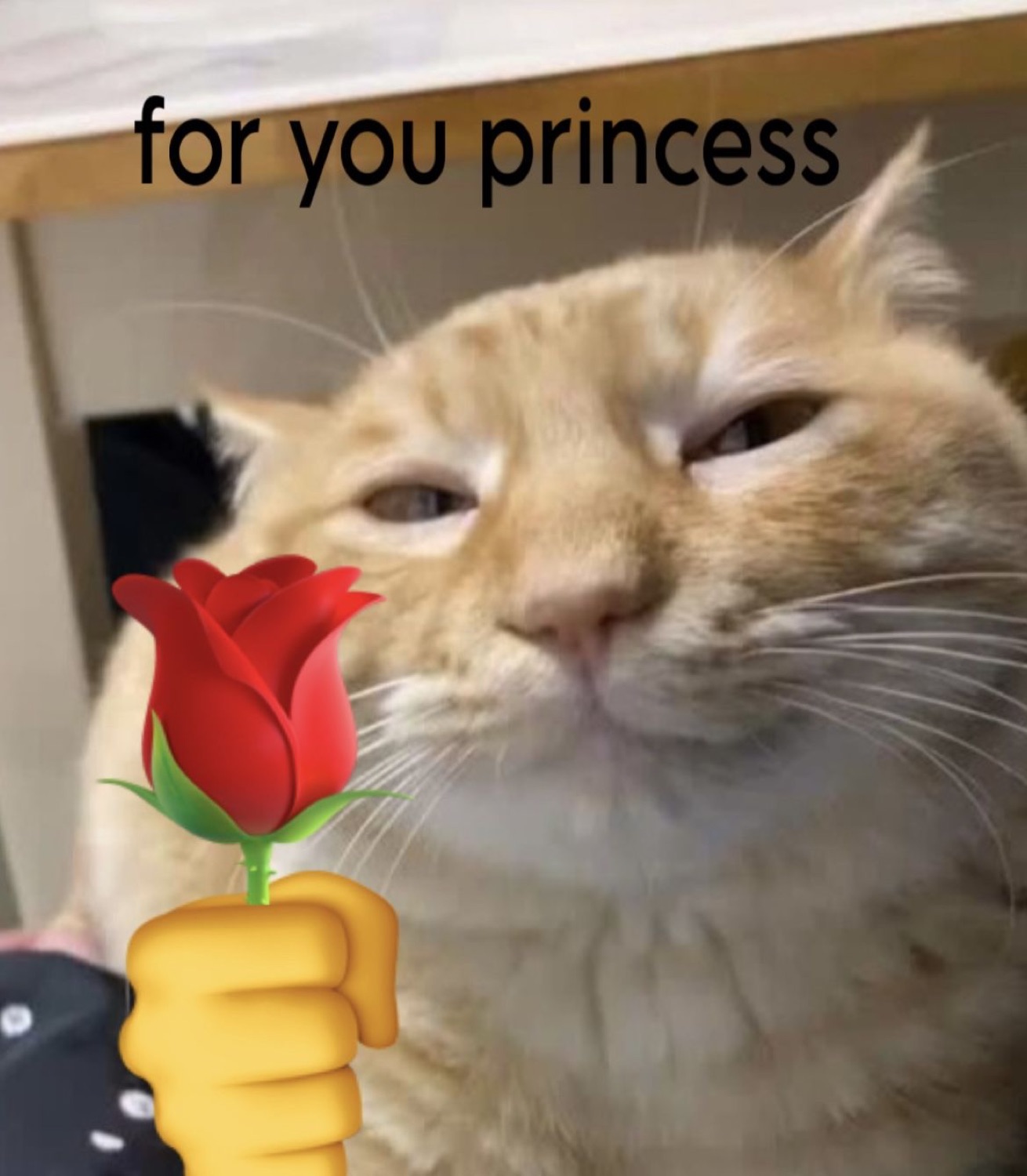Smug orange tabby cat with half-closed eyes holding up a rose emoji with text 'for you princess'