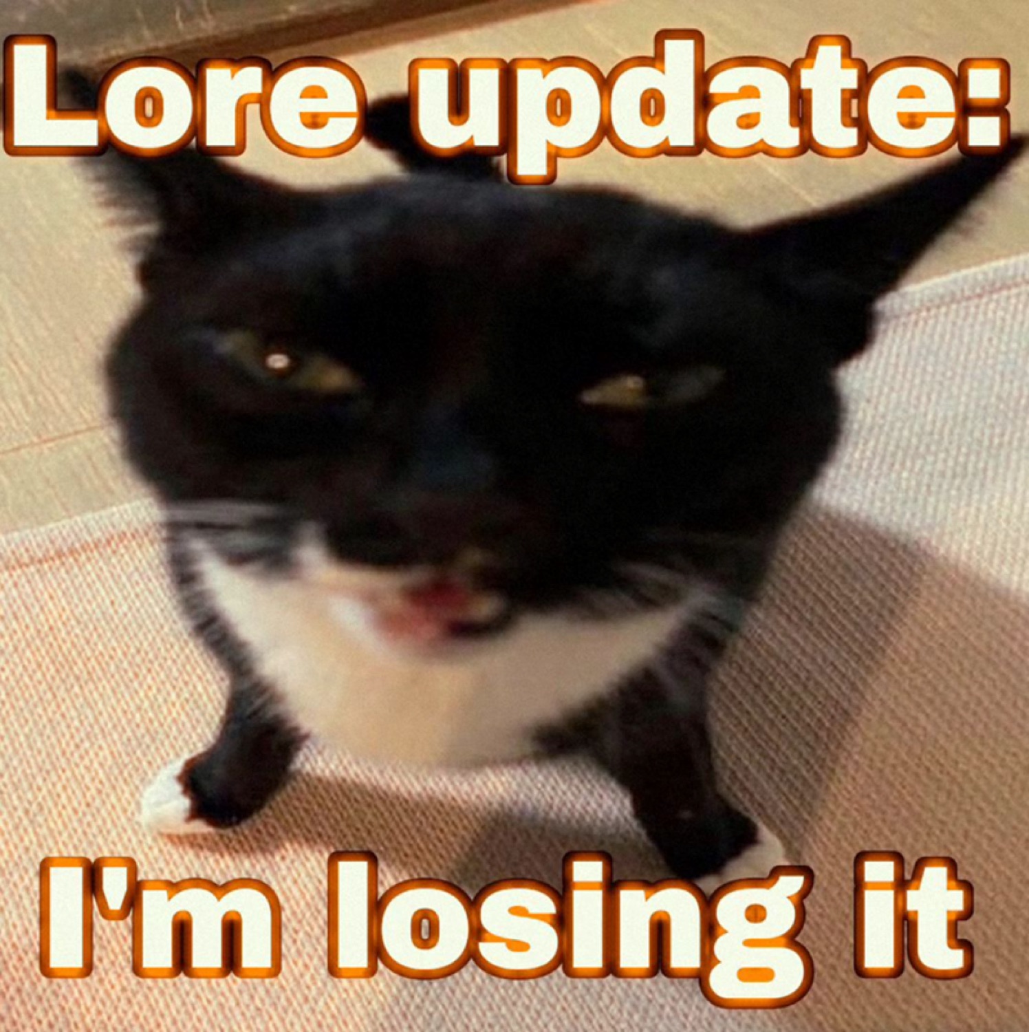 Black-and-white cat mid-grimace, captioned 'Lore update: I'm losing it'