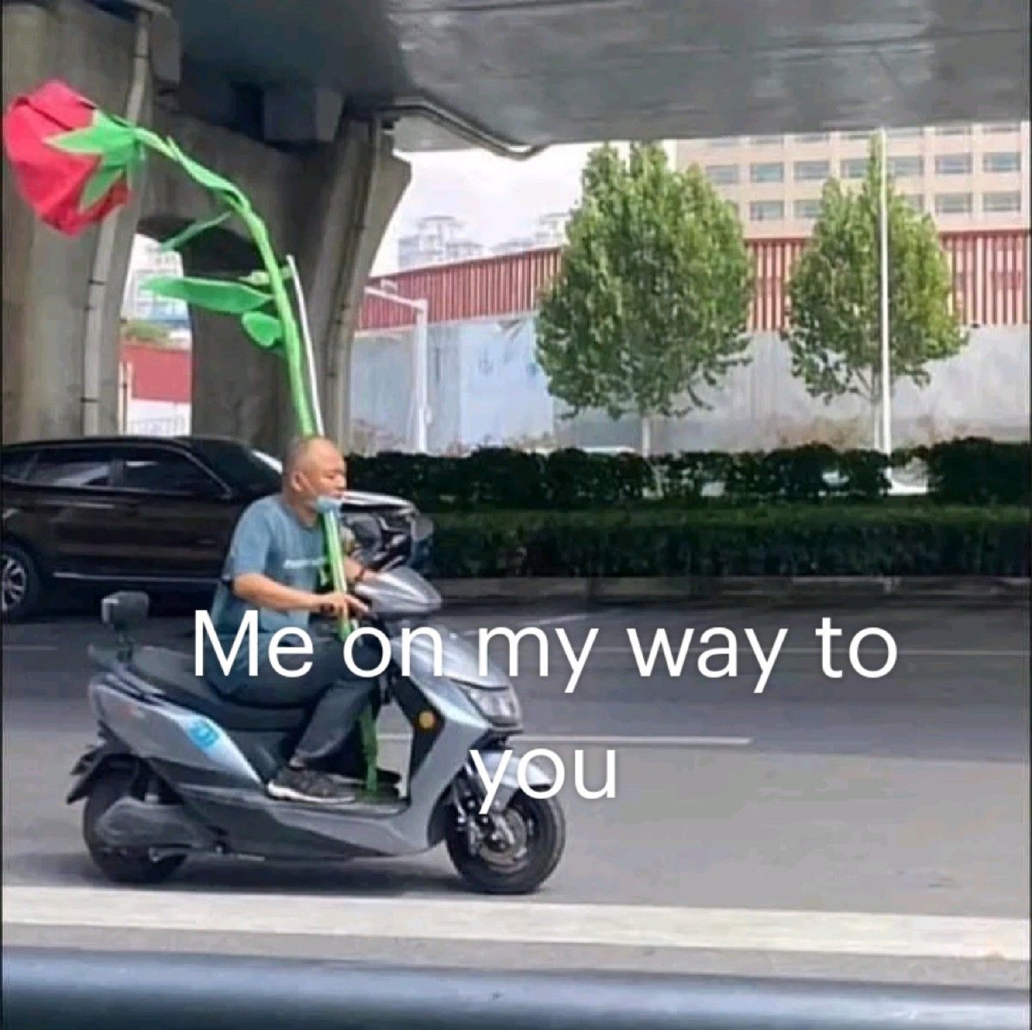Man on a scooter holding a giant rose: 'Me on my way to you'