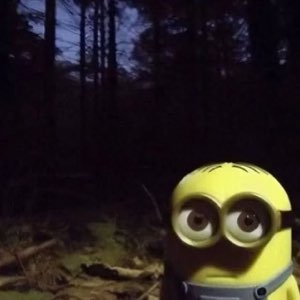 A lone minion peeking wide-eyed and worried in a dark forest at night
