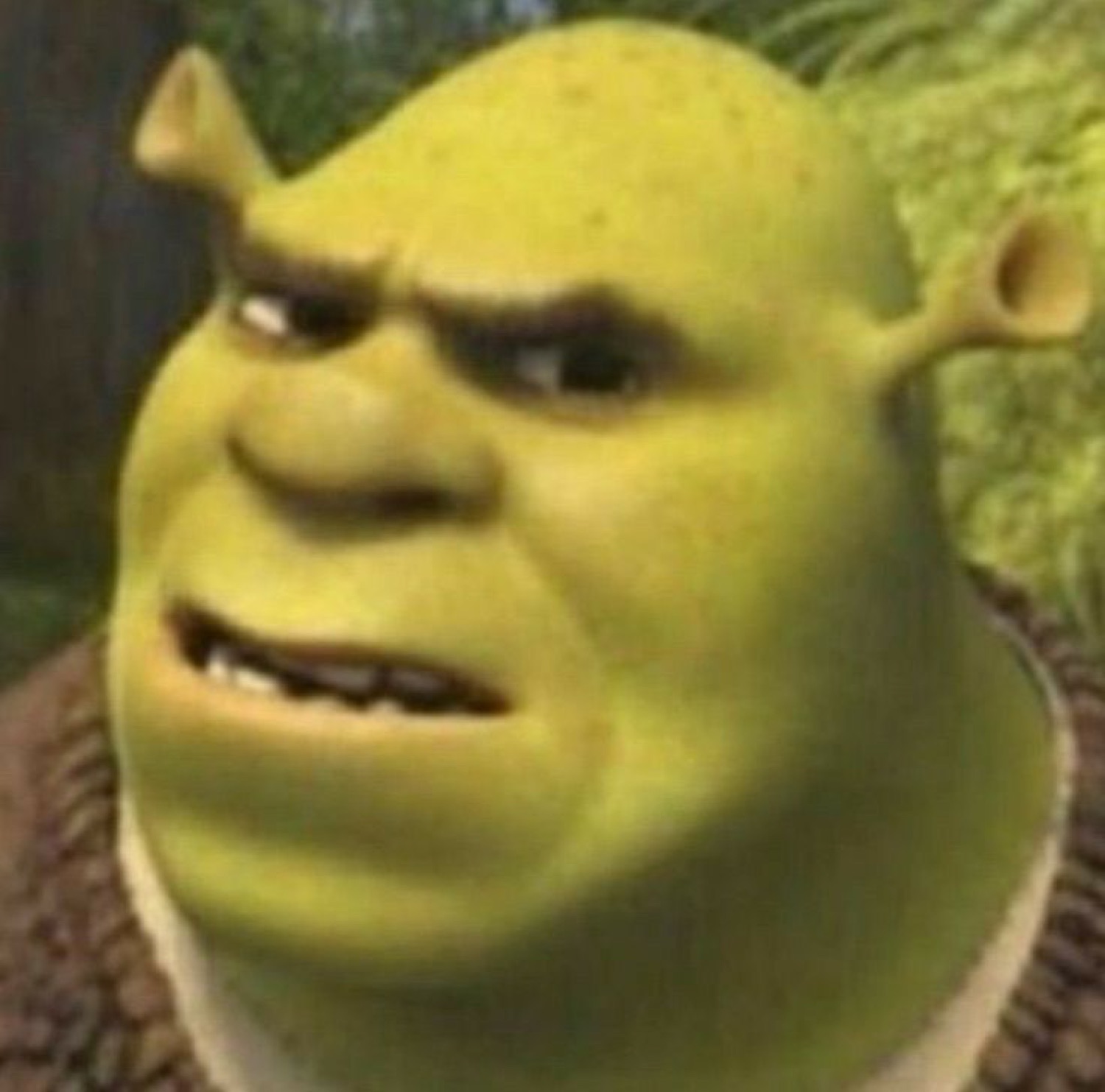 Close-up of Shrek raising an eyebrow with a skeptical, judging look