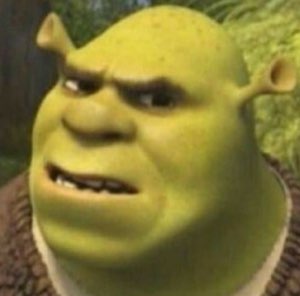 Close-up of Shrek raising an eyebrow with a skeptical, judging look