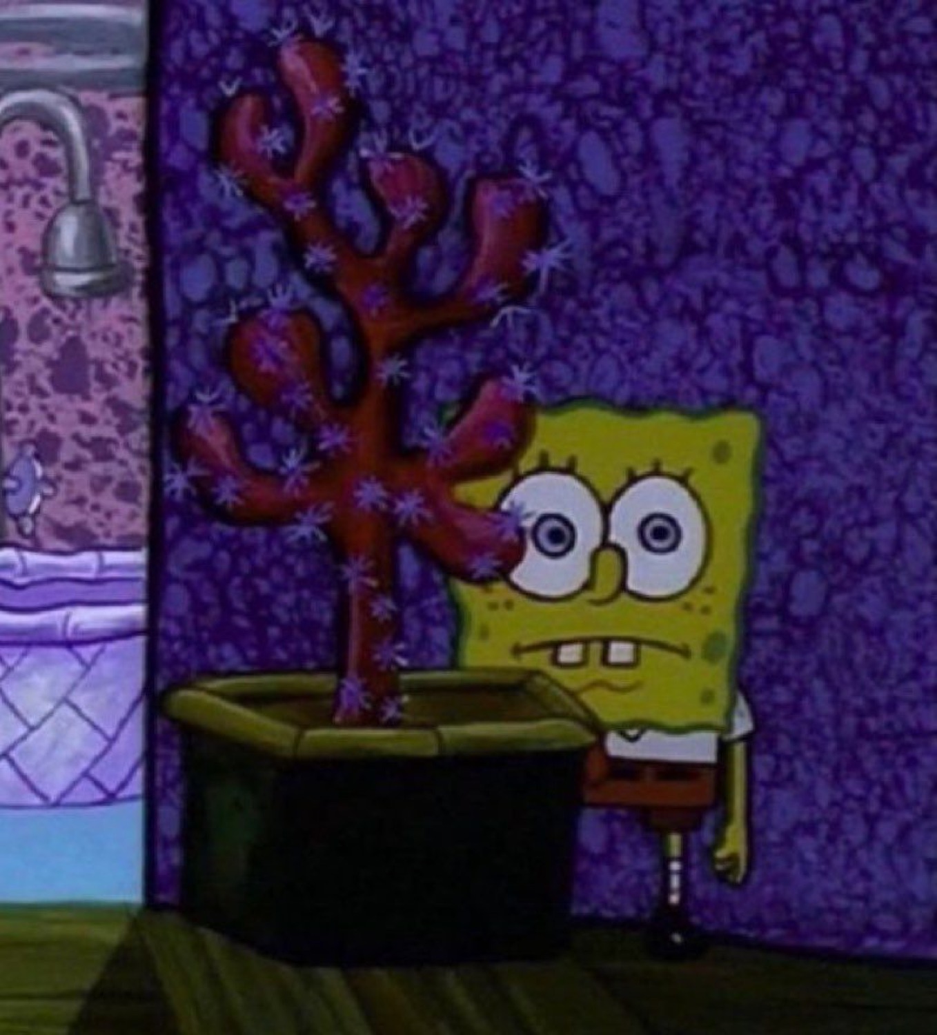 SpongeBob peeking awkwardly from behind a coral plant