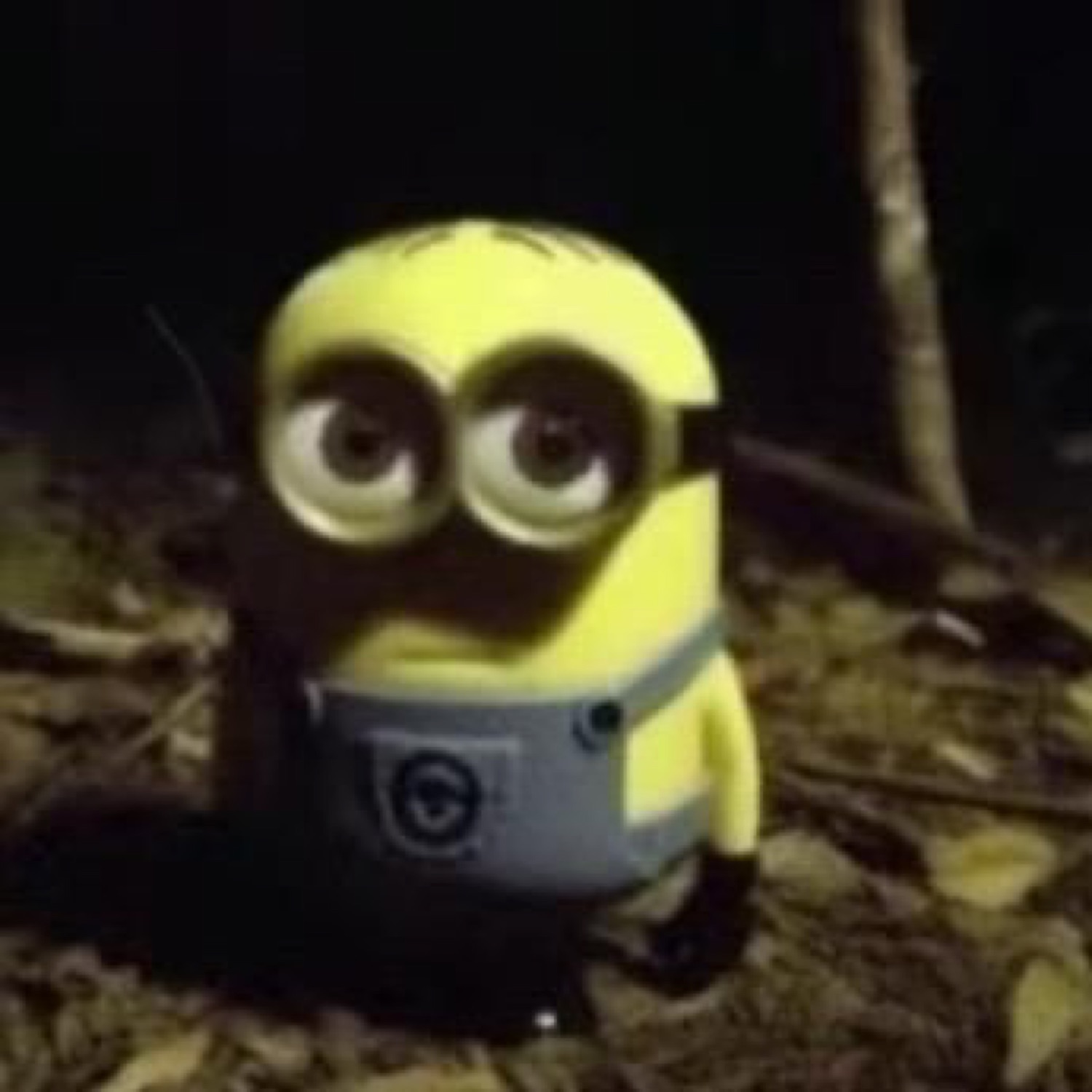 Lone Minion standing in dark woods at night looking small and uneasy