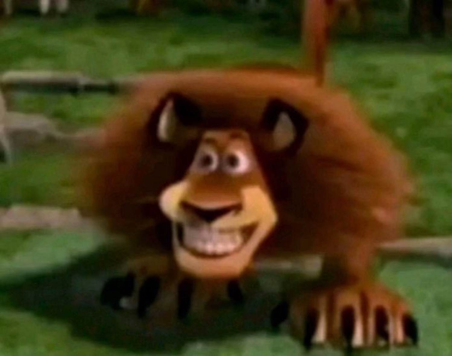 Alex the Lion from Madagascar crouching close to camera with a wide manic grin