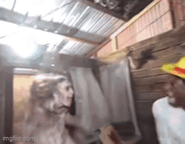 Man in a yellow hard hat screaming as zombies jump out in a haunted house