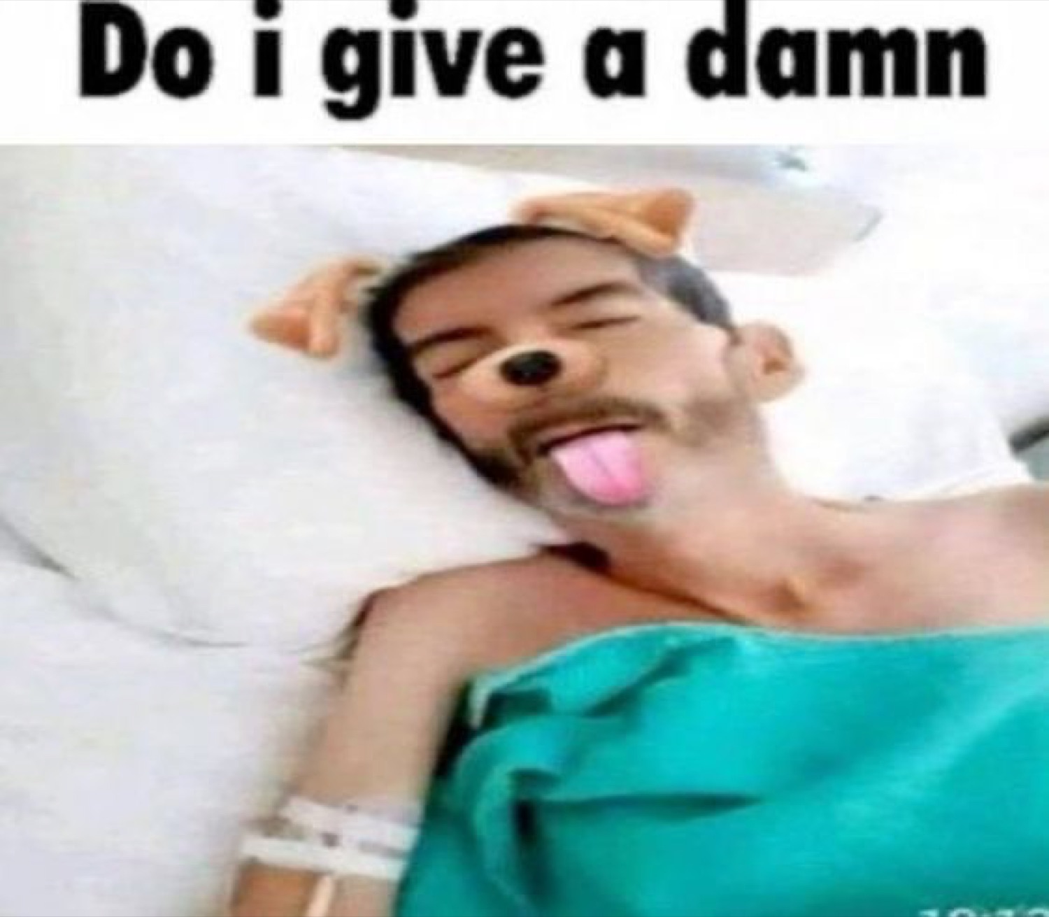 Hospital patient lying back with dog Snapchat filter, text 'Do i give a damn'