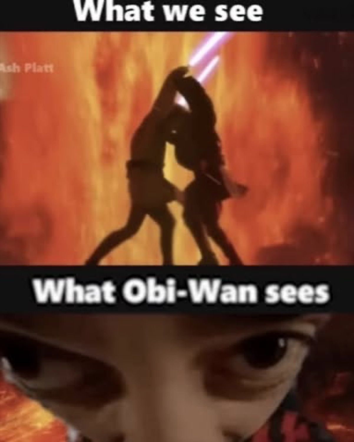 Two-panel: Anakin and Obi-Wan dueling on Mustafar labeled 'What we see', and a wide-eyed close-up labeled 'What Obi-Wan sees'