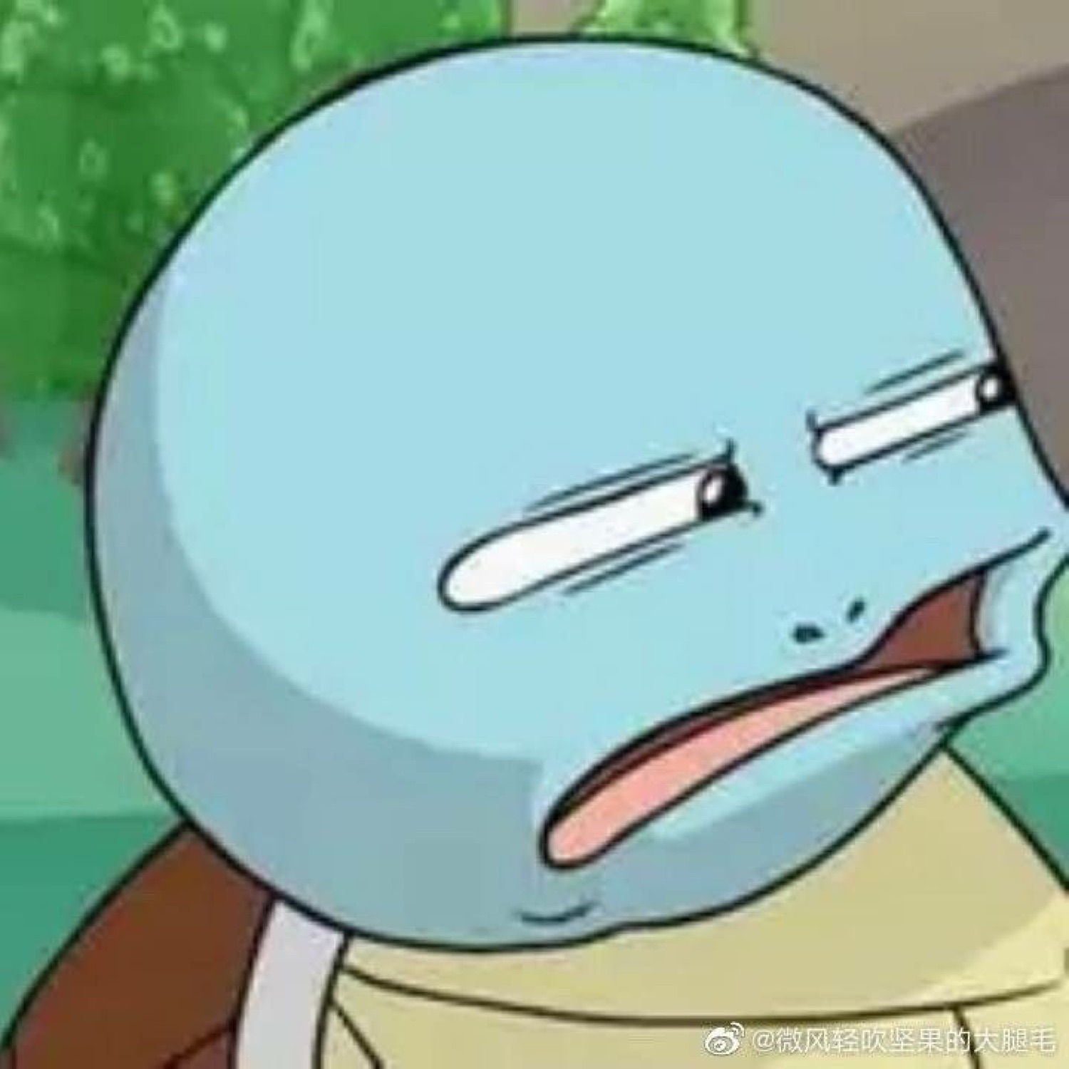 Squirtle with half-lidded eyes and a sour twisted mouth, completely over it