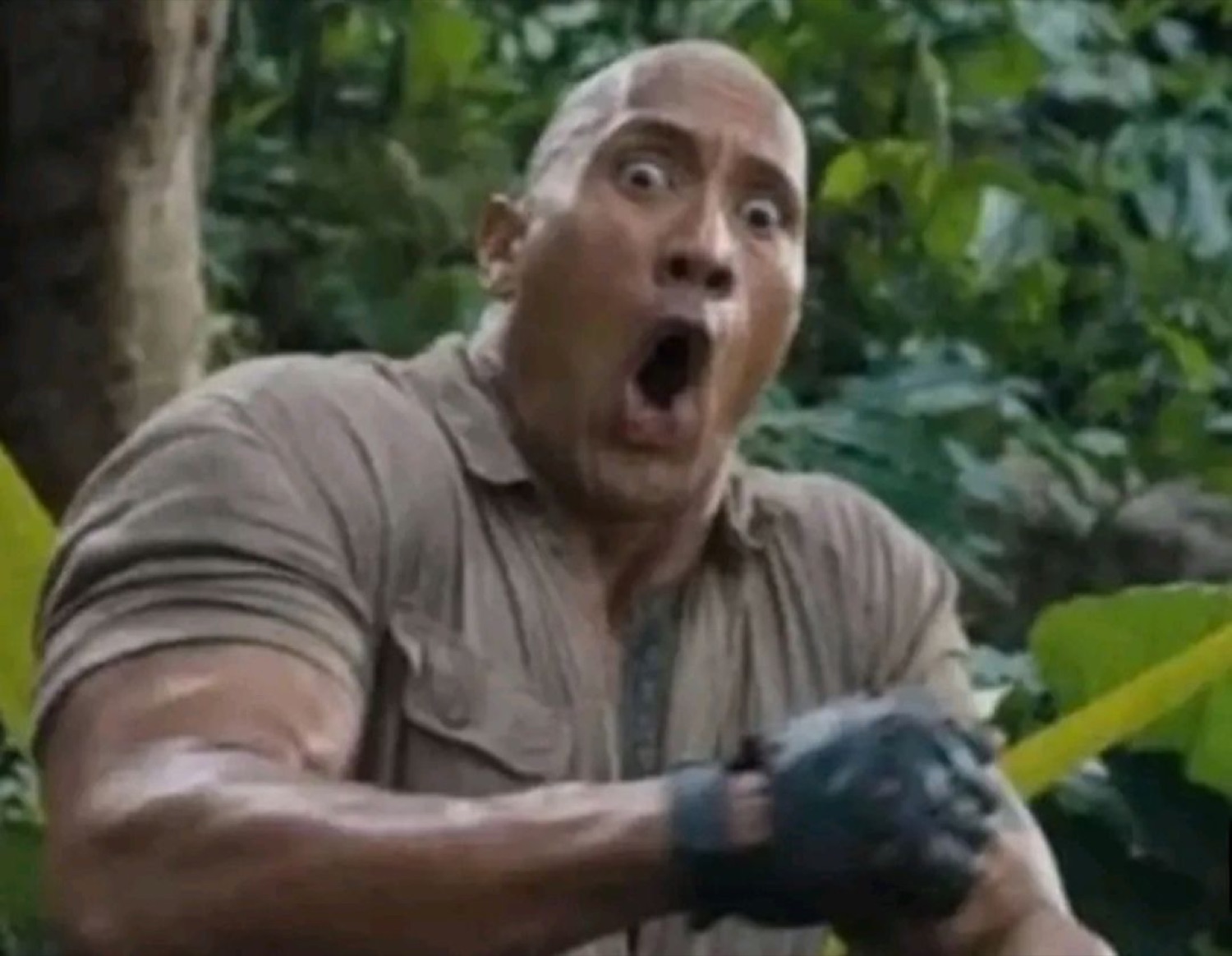 Dwayne Johnson wide-eyed and mouth agape in a jungle setting, absolutely stunned