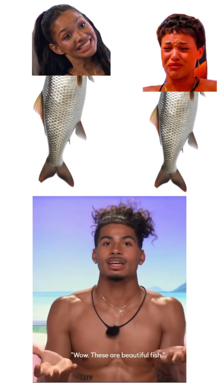 Two Love Island faces on fish bodies above Corbin with the caption '"Wow. These are beautiful fish."'