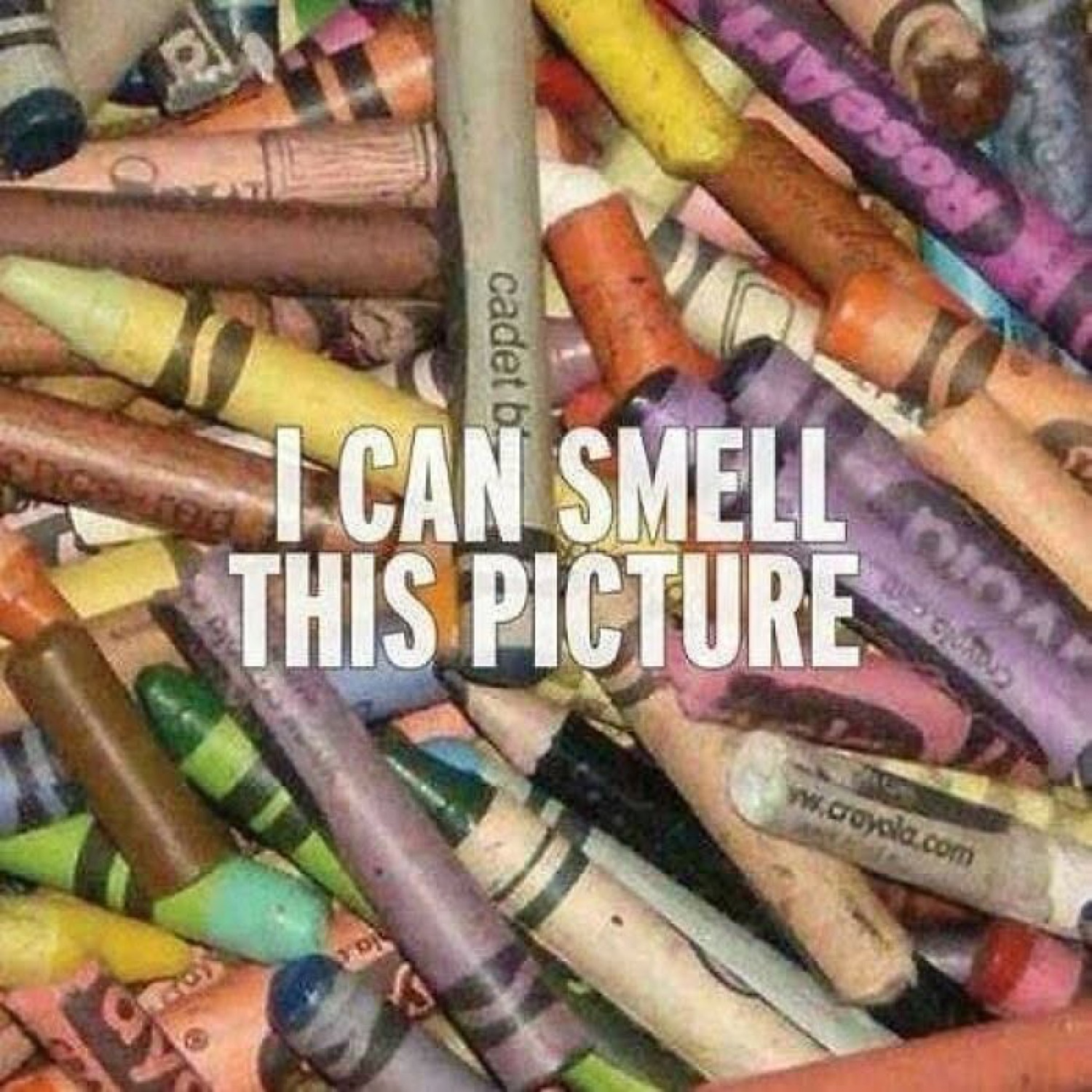 Pile of crayons: 'I CAN SMELL THIS PICTURE'
