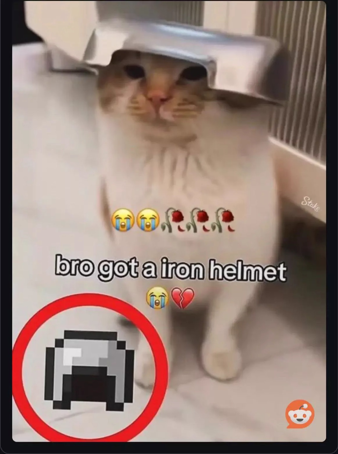 Cat standing with a foil pan on its head, captioned 'bro got a iron helmet'