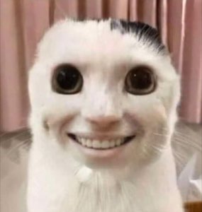 White cat with a humanlike face filter — big dark eyes and a wide human-teeth smile — deeply unsettling