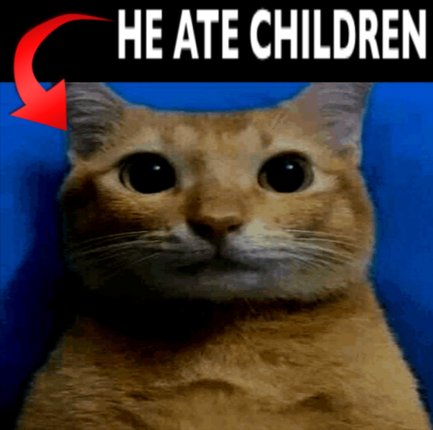Wide-eyed orange cat under a red arrow and the caption 'HE ATE CHILDREN'