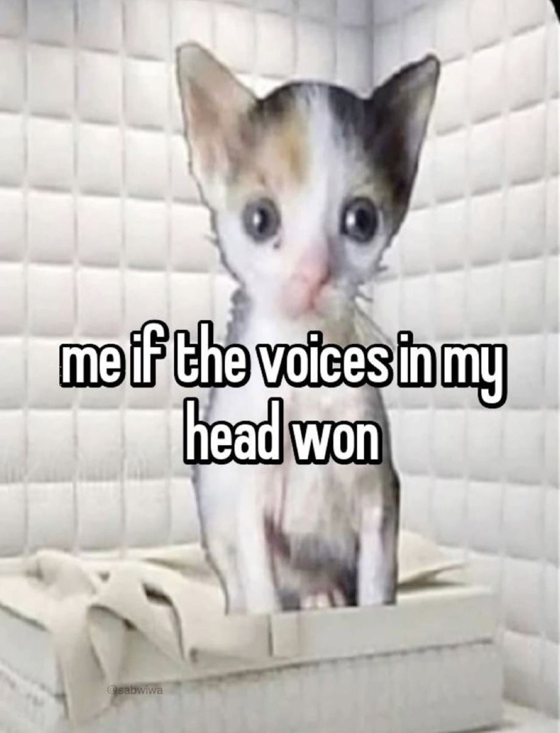 Wide-eyed kitten in a padded cell captioned 'me if the voices in my head won'