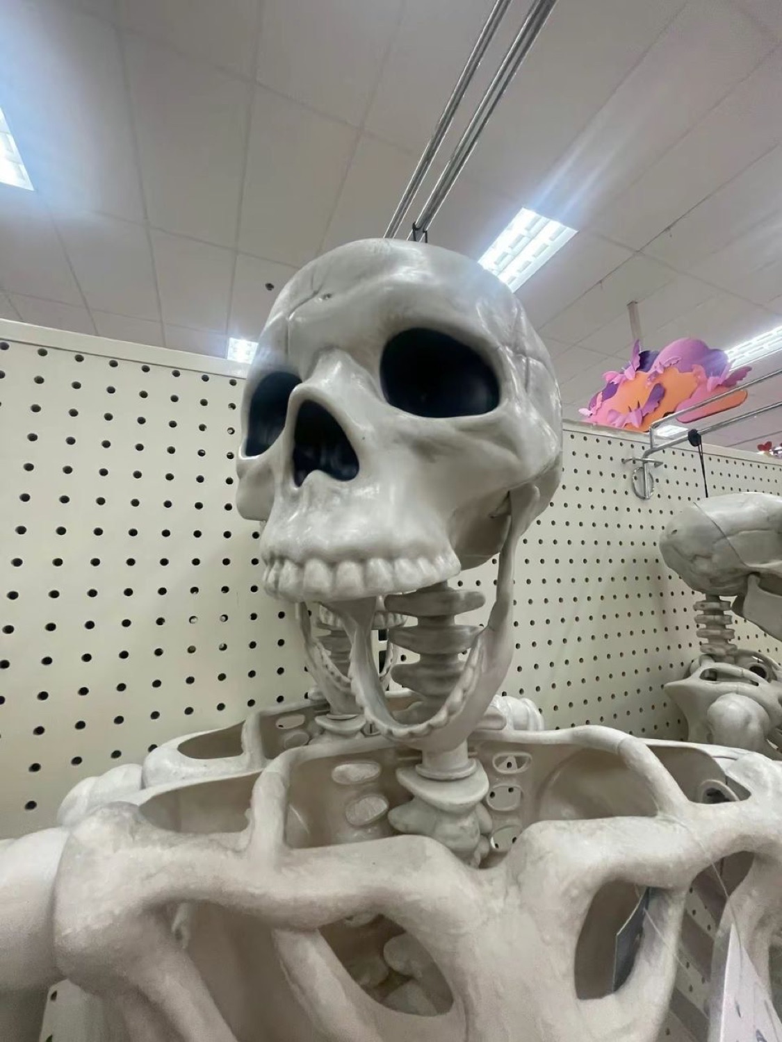Giant store skeleton with its jaw hanging open in shock