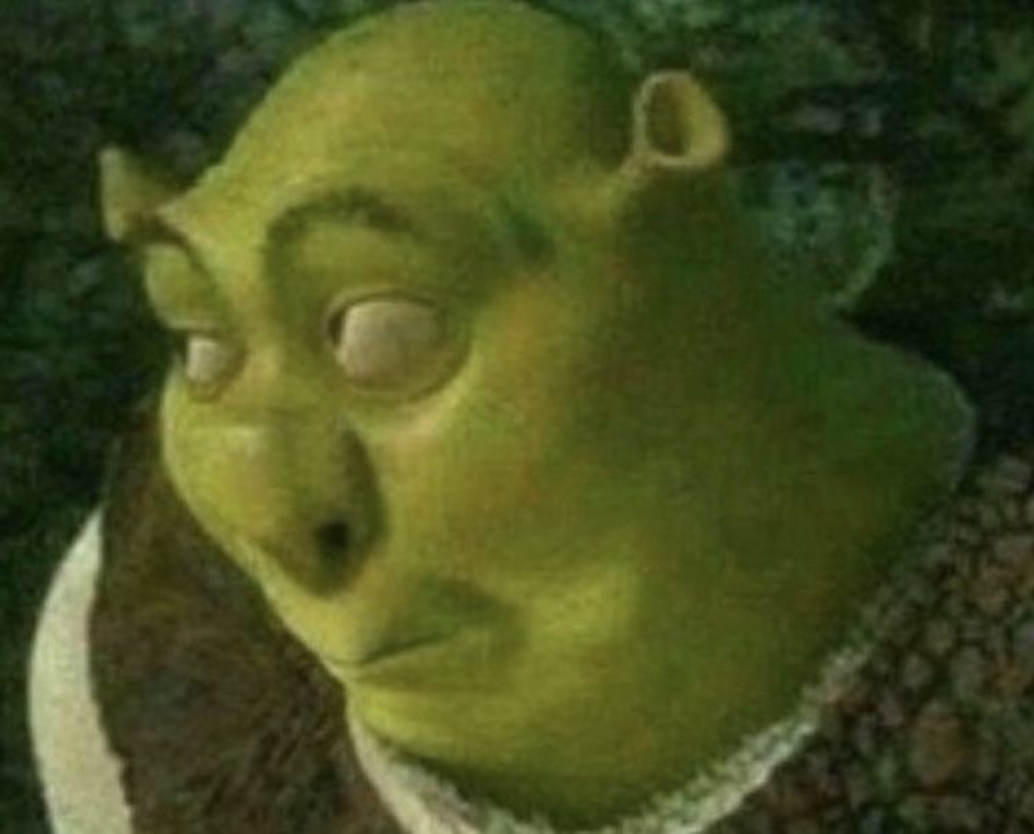 Shrek glancing sideways with one raised brow and deep distrust