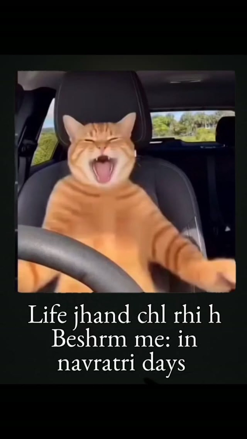 Orange cat yelling behind a steering wheel: 'Life jhand chl rhi h / Beshrm me: in navratri days' (life's a mess / shameless me during Navratri)