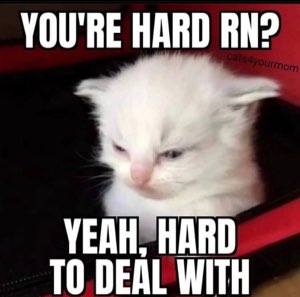 Exhausted white kitten slouched with half-shut eyes captioned 'Yeah, hard to deal with'