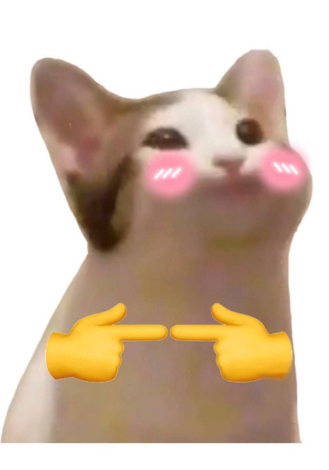 Pop cat blushing with emoji hands pointing their fingers together shyly