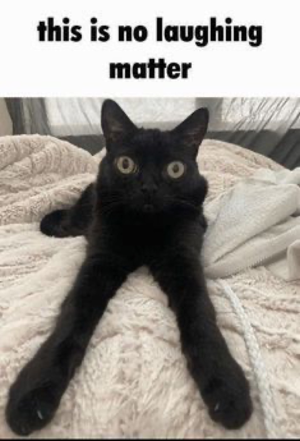 Black cat sprawled on a bed with wide alarmed eyes, captioned 'this is no laughing matter'