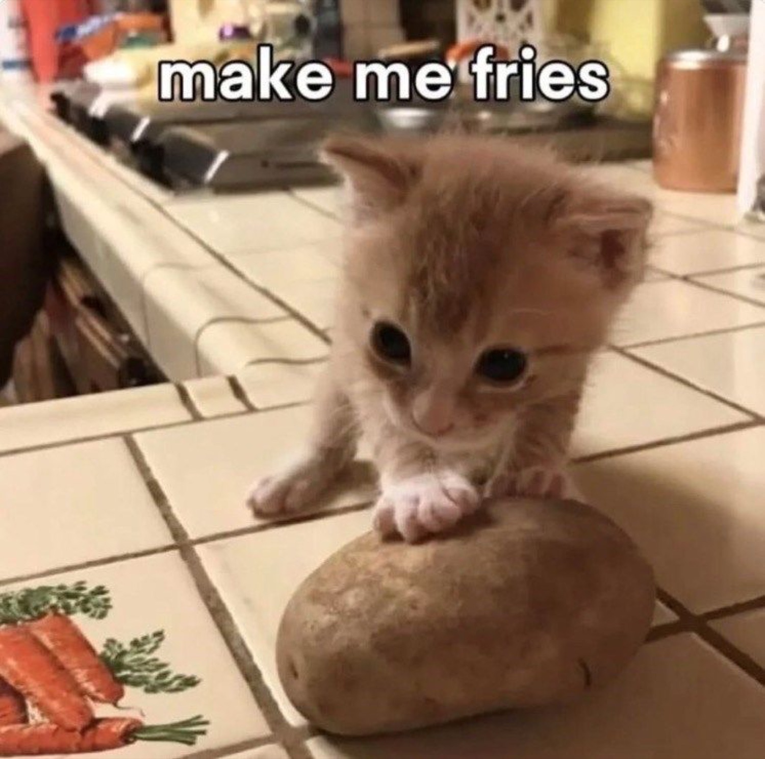 Tiny orange kitten slapping a potato with 'make me fries' over it