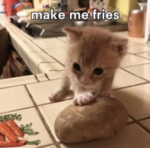Tiny orange kitten slapping a potato with 'make me fries' over it