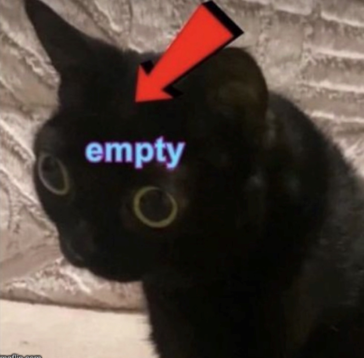 Black cat with glowing void eyes staring back, arrow pointing to it labeled 'empty'