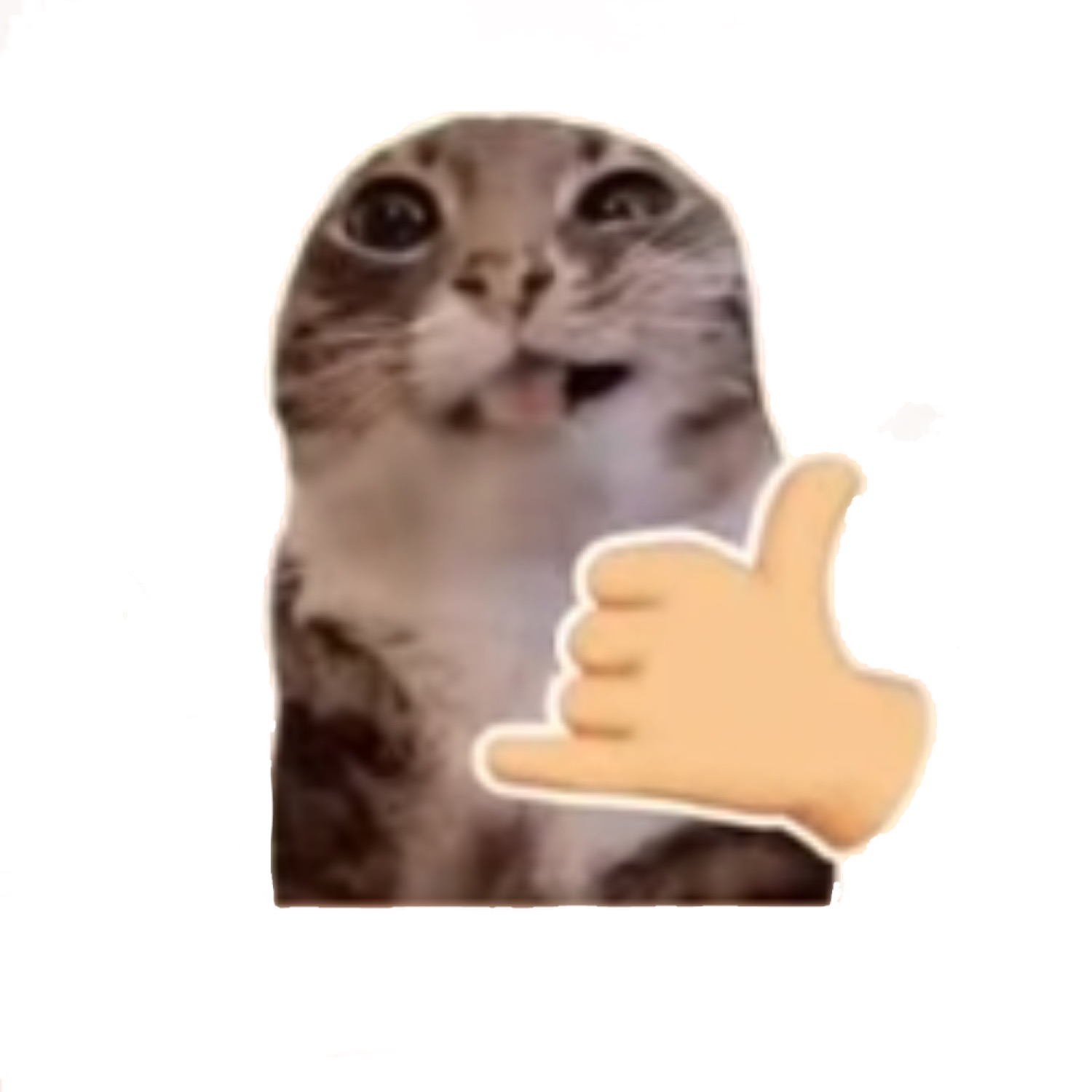 Cat sticker with wide eyes and a shaka hand emoji
