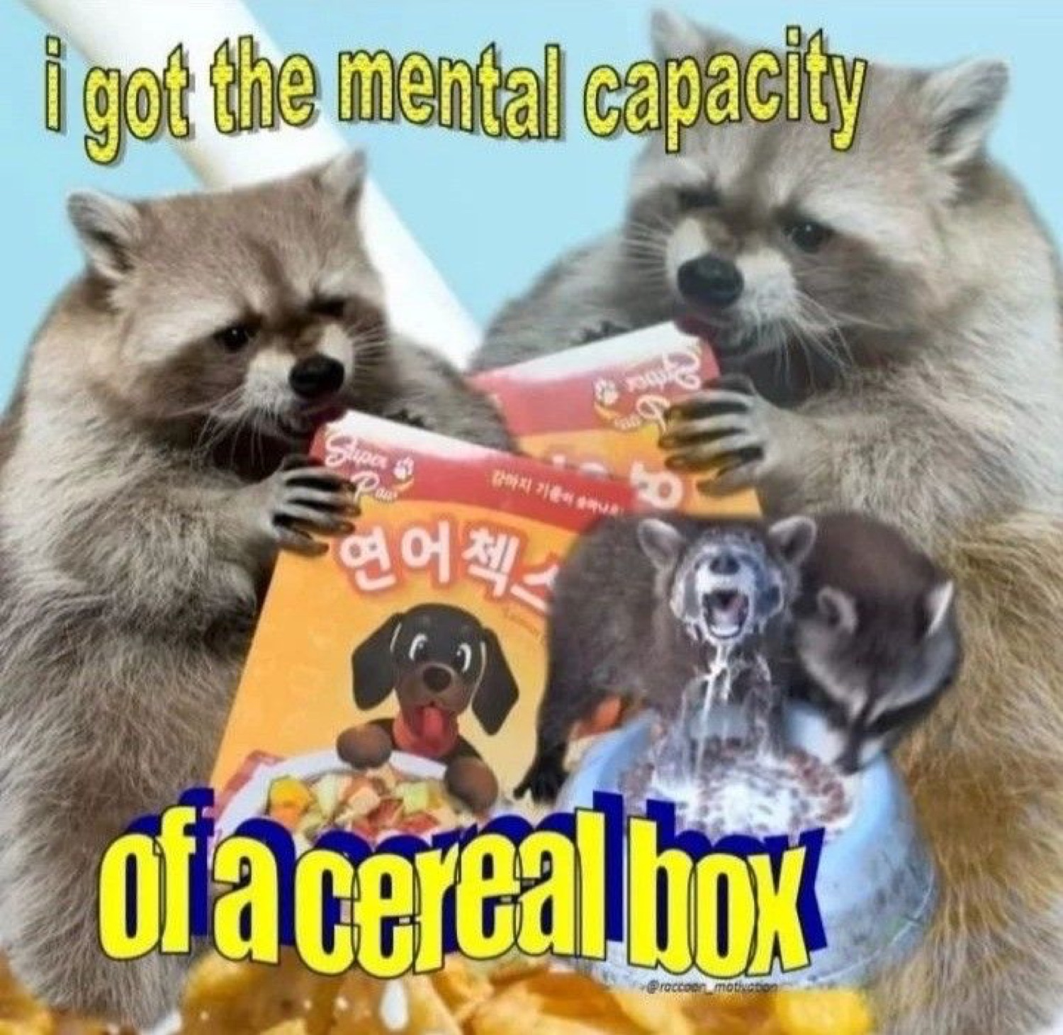 Two raccoons eating snacks under 'i got the mental capacity of a cereal box'