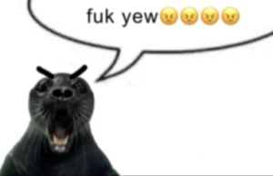 reaction image