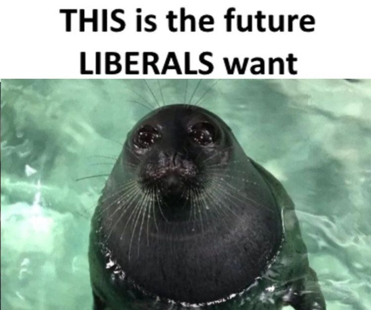 reaction image