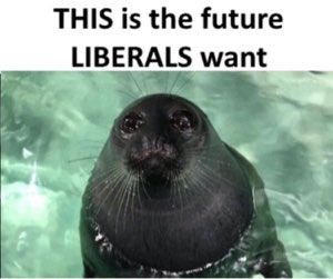 reaction image