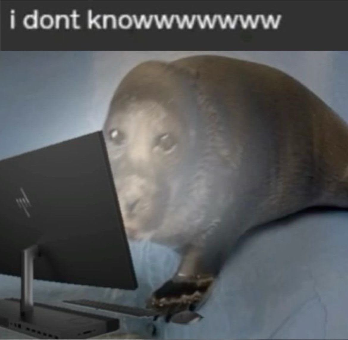 i don’t knowwwwww