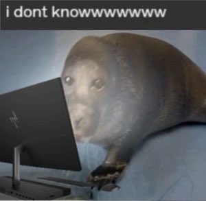 i don’t knowwwwww