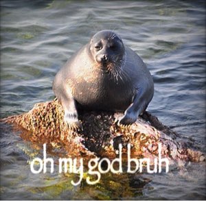 seal saying oh my god bruh