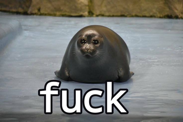 seal saying fuck