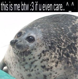 reaction image