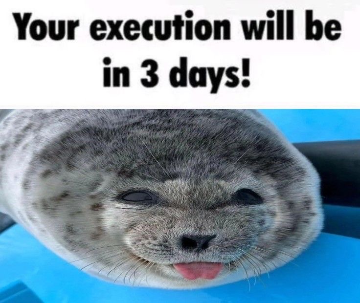 your execution will be in 3 days seal