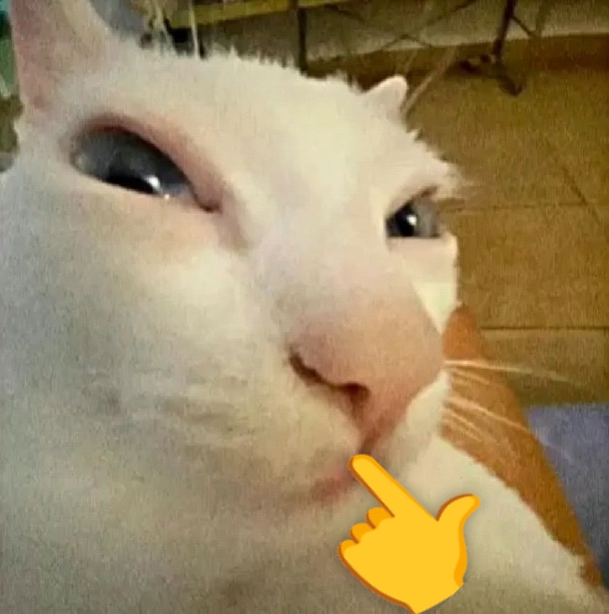 reaction image