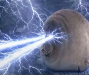 seal with laser eyes