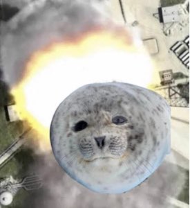 rocket seal